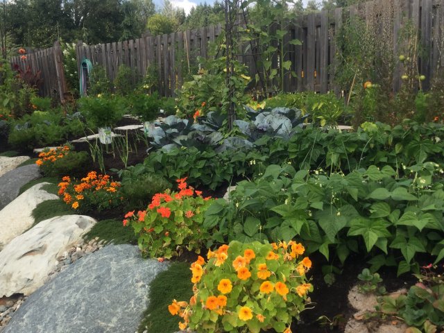 potager